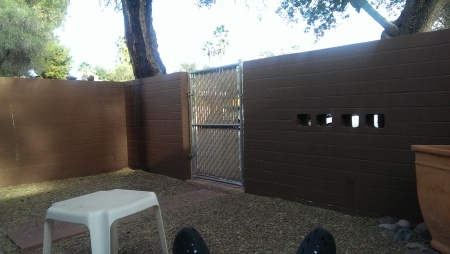Our_Back_Yard_at_Tucson